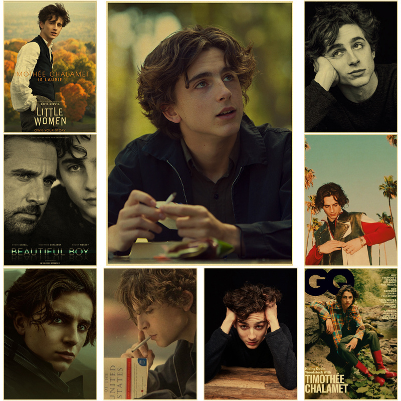 Home Bar And Theater - Timothee Chalamet Retro Tela Pittura Poster